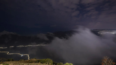 الضباب يغطي الباحة.. أجواء خريفية ساحرة تجذب السياح