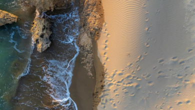 شاطئ الهرابة في الوجه: سحر الطبيعة وتكوينات البحر الأحمر