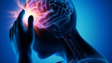 تعدد اللغات يبطئ الشيخوخة ويحمي الدماغ: دراسة حديثة