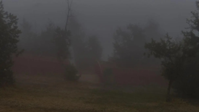 الأرصاد السعودية: ضباب خفيف وتدني الرؤية في 4 مناطق