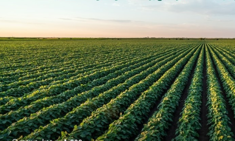 انطلاق حملة شتانا صح 2 لحماية البيئة والأمن الغذائي بالسعودية