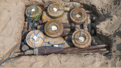 مشروع مسام ينتزع 961 لغماً في اليمن: حصاد نوفمبر 2025