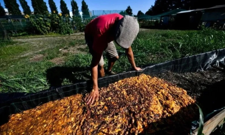 KAUST develops technology to transform food waste into valuable materials