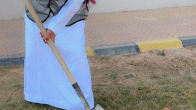 بلدية الرفيعة تغرس 250 شجرة في الشيحية ضمن مبادرة السعودية الخضراء