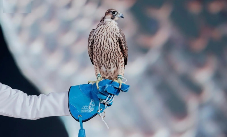 ختام مزاد نادي الصقور السعودي 2025 بمبيعات 6.4 مليون ريال