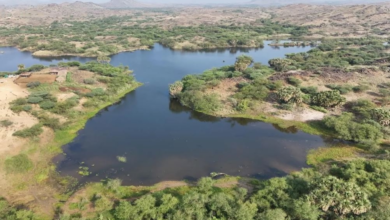 السياحة في جازان: دليل شامل لأجمل الوجهات الطبيعية والتراثية