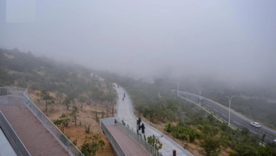 حالة الطقس: ضباب كثيف وإنذار أحمر في الشرقية ومكة والمدينة