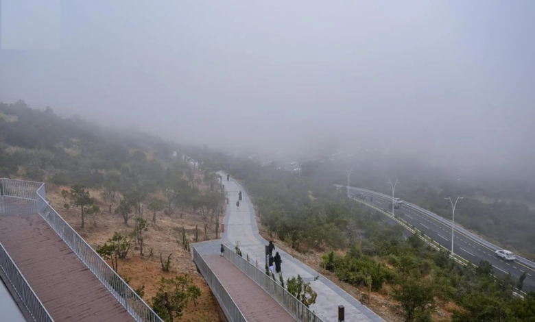 حالة الطقس: ضباب كثيف وإنذار أحمر في الشرقية ومكة والمدينة