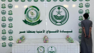 القبض على مروج قات في عسير: تفاصيل ضبط 5 كجم مخدرات