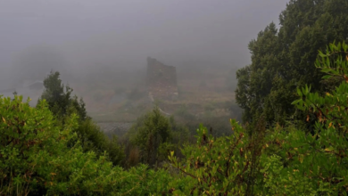 الأرصاد: ضباب كثيف وتدني الرؤية على 4 مناطق بالمملكة