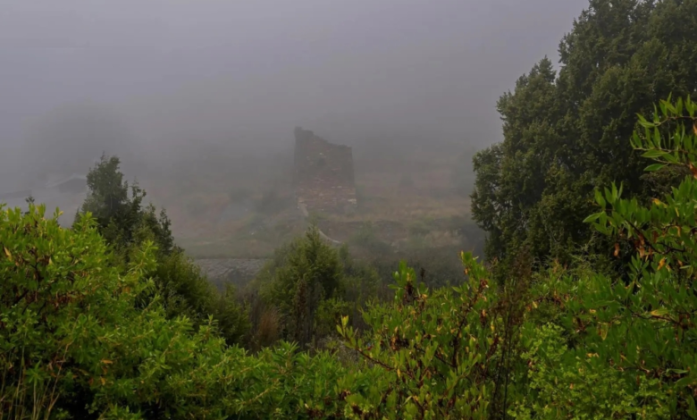 الأرصاد: ضباب كثيف وتدني الرؤية على 4 مناطق بالمملكة