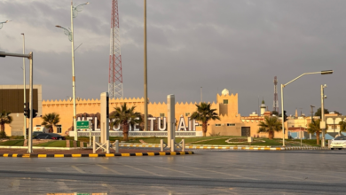 طقس السعودية اليوم: أمطار غزيرة وسيول وضباب على 10 مناطق