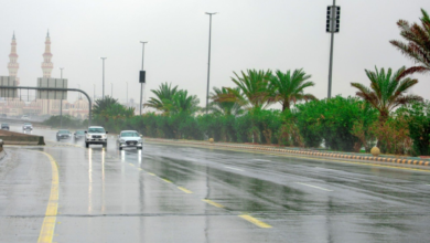 أمطار عرعر اليوم: صواعق رعدية وتوقعات الطقس في الحدود الشمالية