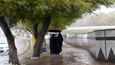 طقس السعودية: أمطار غزيرة بالمدينة وتبوك وضباب بالشرقية