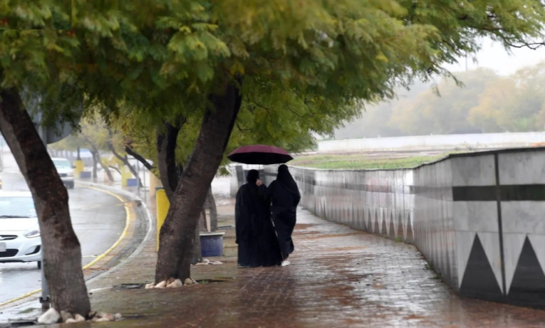 Saudi Arabia weather: Heavy rain in Medina and Tabuk, and fog in the Eastern Province