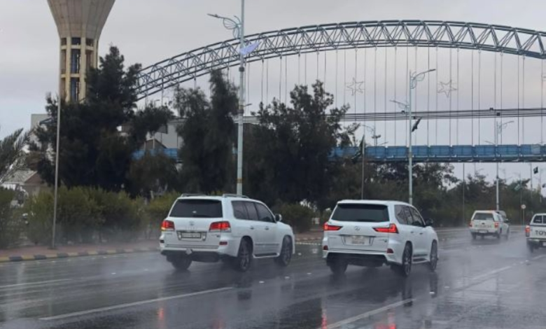 تعليق الدراسة في رفحاء والعويقيلة وتحويلها عن بُعد لسوء الطقس