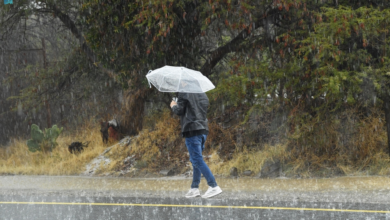 Training in Medina suspended and switched to remote learning due to bad weather