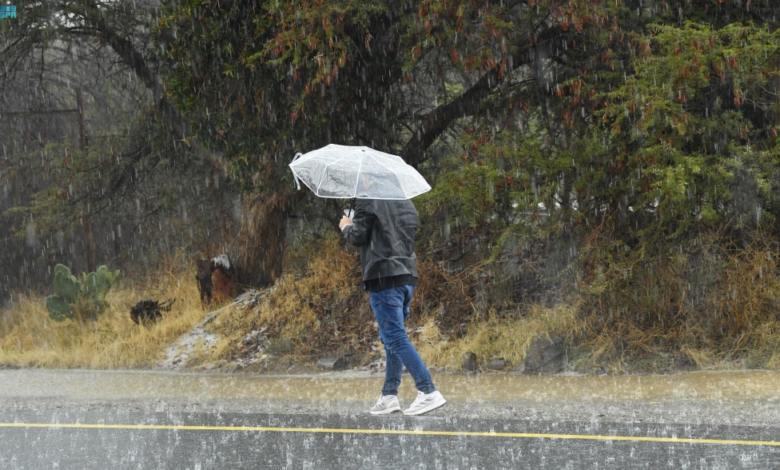 تعليق التدريب بالمدينة المنورة وتحويله عن بُعد لسوء الطقس