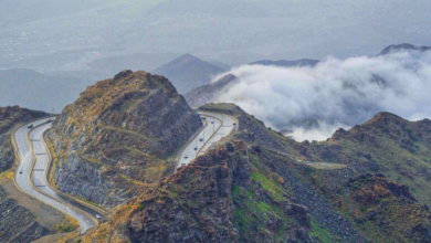 شتاء الطائف.. الضباب يرسم لوحات ساحرة على قمم الجبال