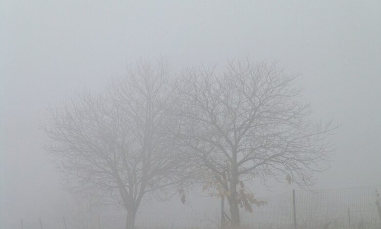 Saudi Arabia weather: Dense fog in 7 regions and weather warnings issued
