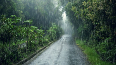 طقس السعودية: الإنذار الأحمر وأمطار غزيرة على 6 مناطق اليوم