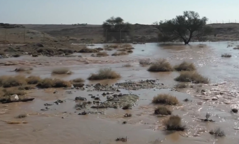 أمطار محمية الإمام تركي بن عبدالله: انتعاش الطبيعة والحياة الفطرية