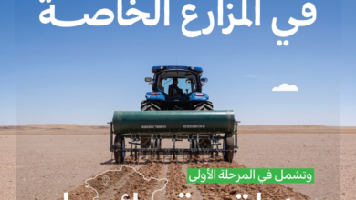 إطلاق مبادرة نثر البذور في المزارع الخاصة بحائل