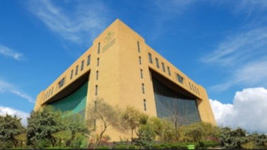 وزارة البلديات: 7.7 مليون جولة لتحسين المشهد الحضري