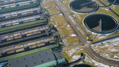 تنقية المياه بقشور الحلزون: ابتكار روسي صديق للبيئة