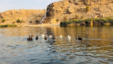 وادي نمار بالرياض: دليل شامل لأجمل الوجهات الطبيعية والسياحية