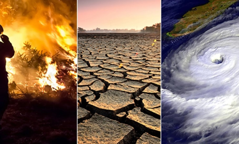 Global warming threatens public health: Study reveals risks