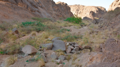 وادي مغيدد في نجران.. وجهة سياحية ساحرة وسط الطبيعة