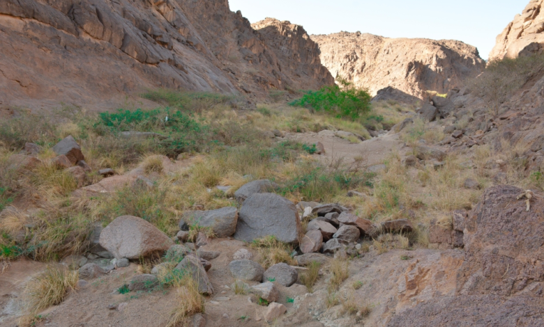 وادي مغيدد في نجران.. وجهة سياحية ساحرة وسط الطبيعة