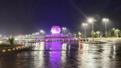 طلعة التمياط.. أيقونة جمالية تزين طريق الشمال الدولي