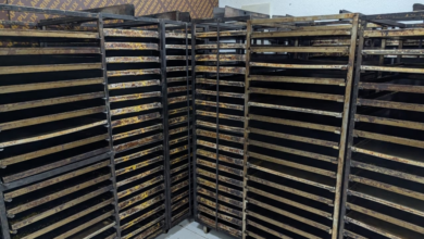 أمانة جدة تغلق مخبزاً عشوائياً وتتلف 10 أطنان أغذية فاسدة