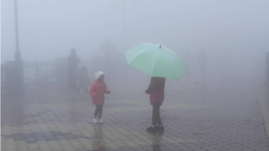 تنبيهات الأرصاد: ضباب كثيف على 8 مناطق وتدني الرؤية