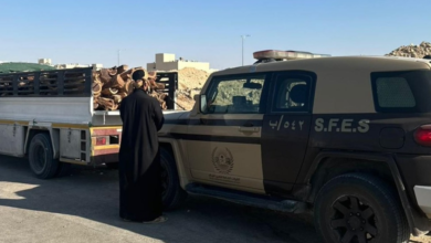 ضبط مخالف لنظام البيئة بالرياض لنقل حطب محلي