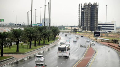 الرياض تسجل أعلى كميات أمطار في السعودية: تقرير وزارة البيئة