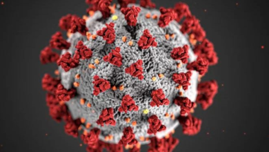 الصحة العالمية تحذر من سلالة إنفلونزا جديدة A(H3N2)