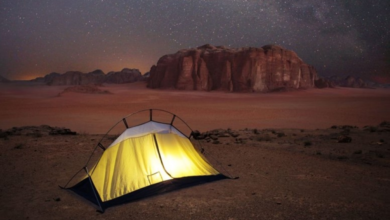 ضبط مخالفين لنظام البيئة بالرياض: عقوبات الرعي والاحتطاب