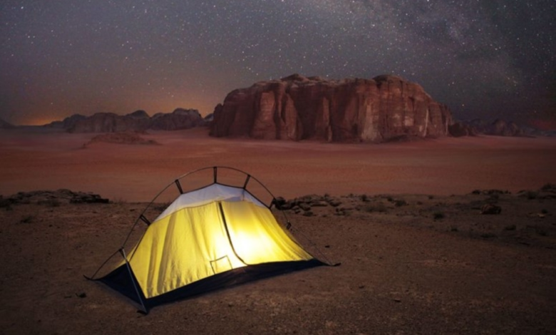 ضبط مخالفين لنظام البيئة بالرياض: عقوبات الرعي والاحتطاب