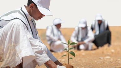 خارطة الأقاليم النباتية في السعودية: استراتيجية التشجير الجديدة