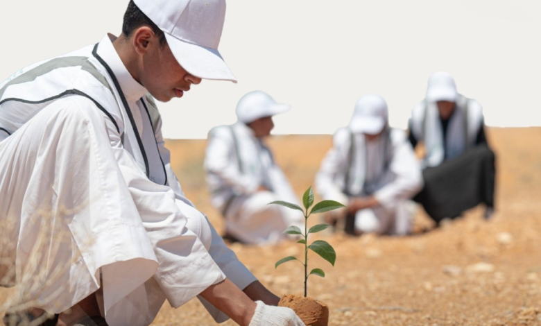 خارطة الأقاليم النباتية في السعودية: استراتيجية التشجير الجديدة