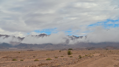 أمطار حقل اليوم: سحب تعانق الجبال ومشاهد طبيعية خلابة في تبوك