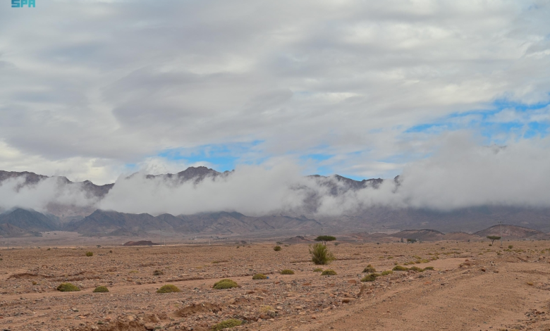Rain in Haql today: Clouds embracing the mountains and breathtaking natural scenery in Tabuk