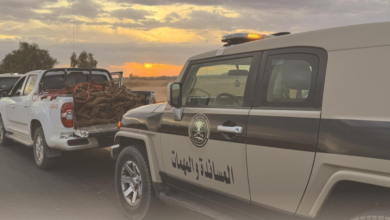 ضبط مخالفات بيئية بالمدينة وناقلي متسللين بعسير - التفاصيل والعقوبات