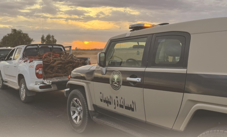 ضبط مخالفات بيئية بالمدينة وناقلي متسللين بعسير - التفاصيل والعقوبات
