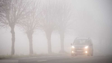 تنبيهات الأرصاد: ضباب كثيف وتدني الرؤية في 7 مناطق سعودية