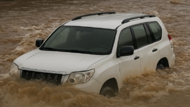 Traffic authorities warn against crossing valleys during rainfall: Safety tips