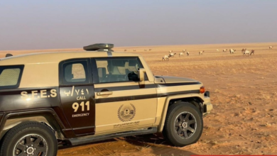 الأمن البيئي يضبط مخالفات رعي واحتطاب في الرياض والمدينة